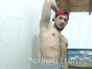 Max_Hamilton