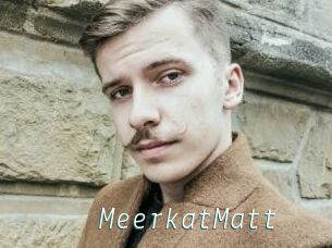 MeerkatMatt