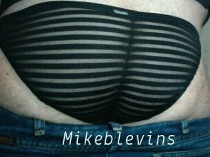 Mikeblevins