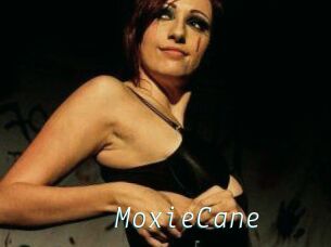 Moxie_Cane