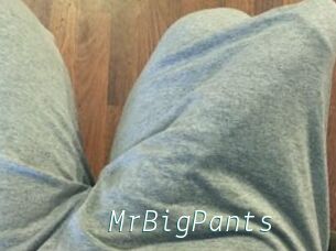 MrBigPants