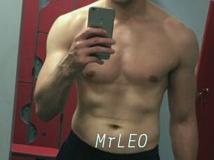 MrLEO