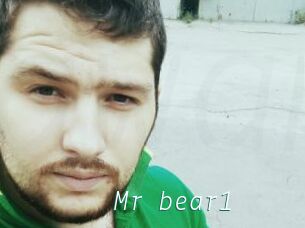 Mr_bear1