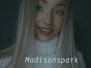 Madisonspark