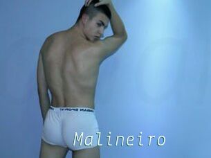 Malineiro