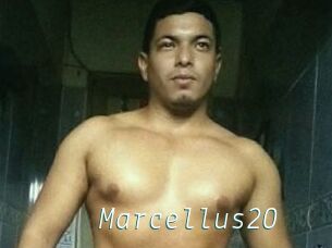 Marcellus20