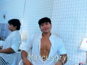 Marcusgrys