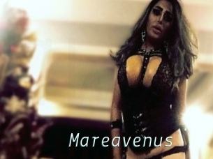 Mareavenus