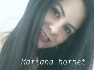 Mariana_hornet