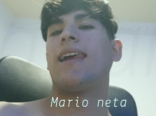 Mario_neta