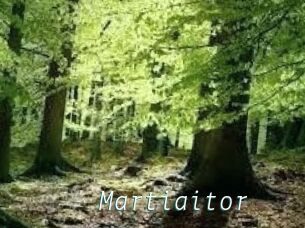 Martiaitor