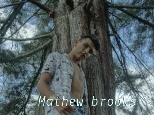 Mathew_brooks