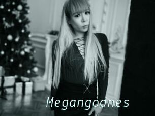 Megangodnes