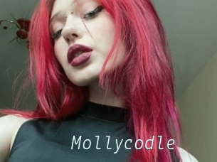 Mollycodle