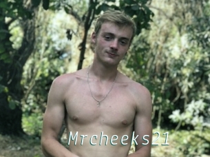 Mrcheeks21