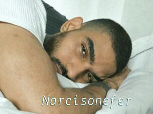 Narcisonefer