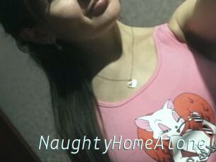 NaughtyHomeAlone