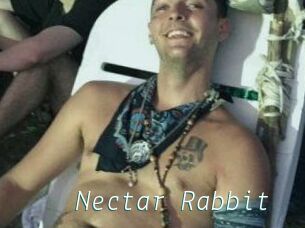 Nectar_Rabbit