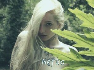 Nefka