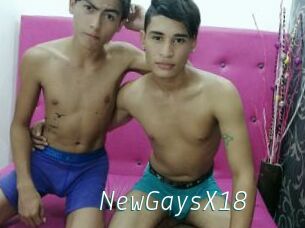 NewGaysX18