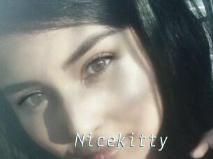 Nicekitty