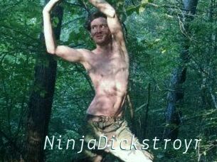 NinjaDickstroyr