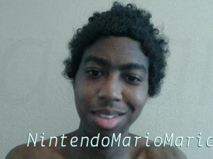 NintendoMarioMario