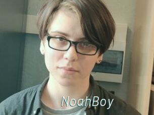 NoahBoy