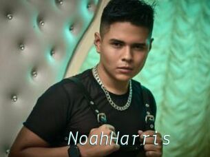 NoahHarris