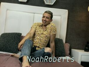 NoahRoberts