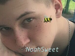 NoahSweet