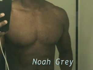 Noah_Grey