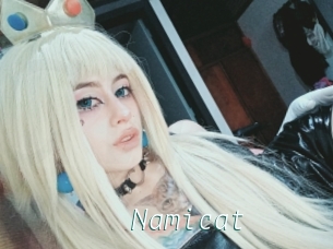 Namicat