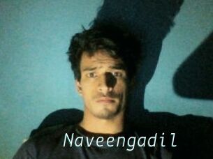 Naveengadil