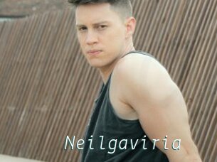 Neilgaviria