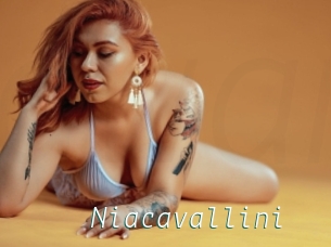 Niacavallini