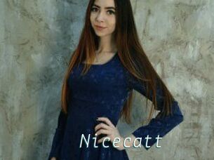 Nicecatt