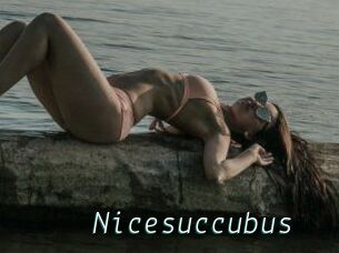 Nicesuccubus