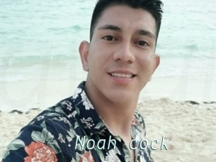 Noah_cock