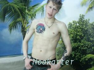 Noakarter