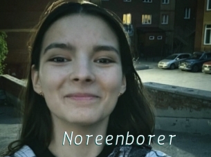 Noreenborer