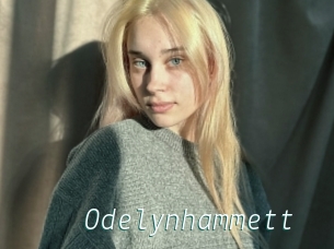 Odelynhammett