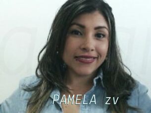 PAMELA_zv