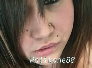 Palikane88