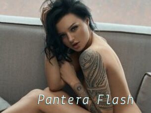 Pantera_Flash