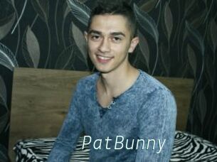 PatBunny