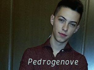 Pedrogenove