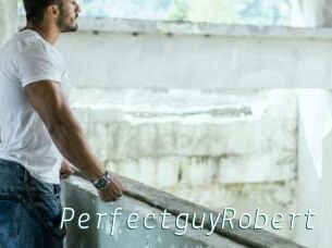 PerfectguyRobert