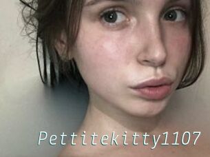 Pettitekitty1107