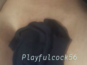 Playfulcock56